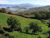 Vivere in campagna